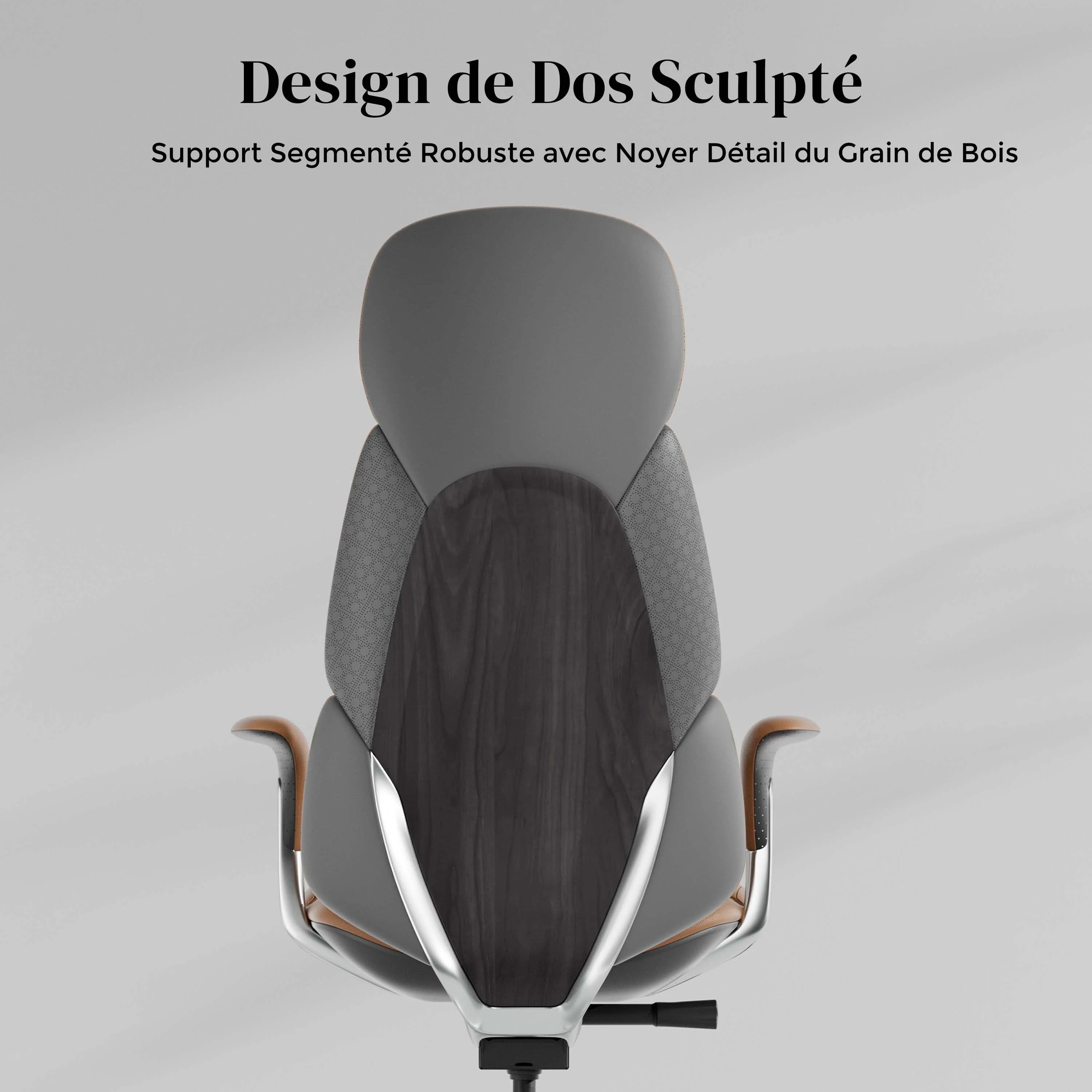 Nolan Chaise en Cuir avec Design Classique