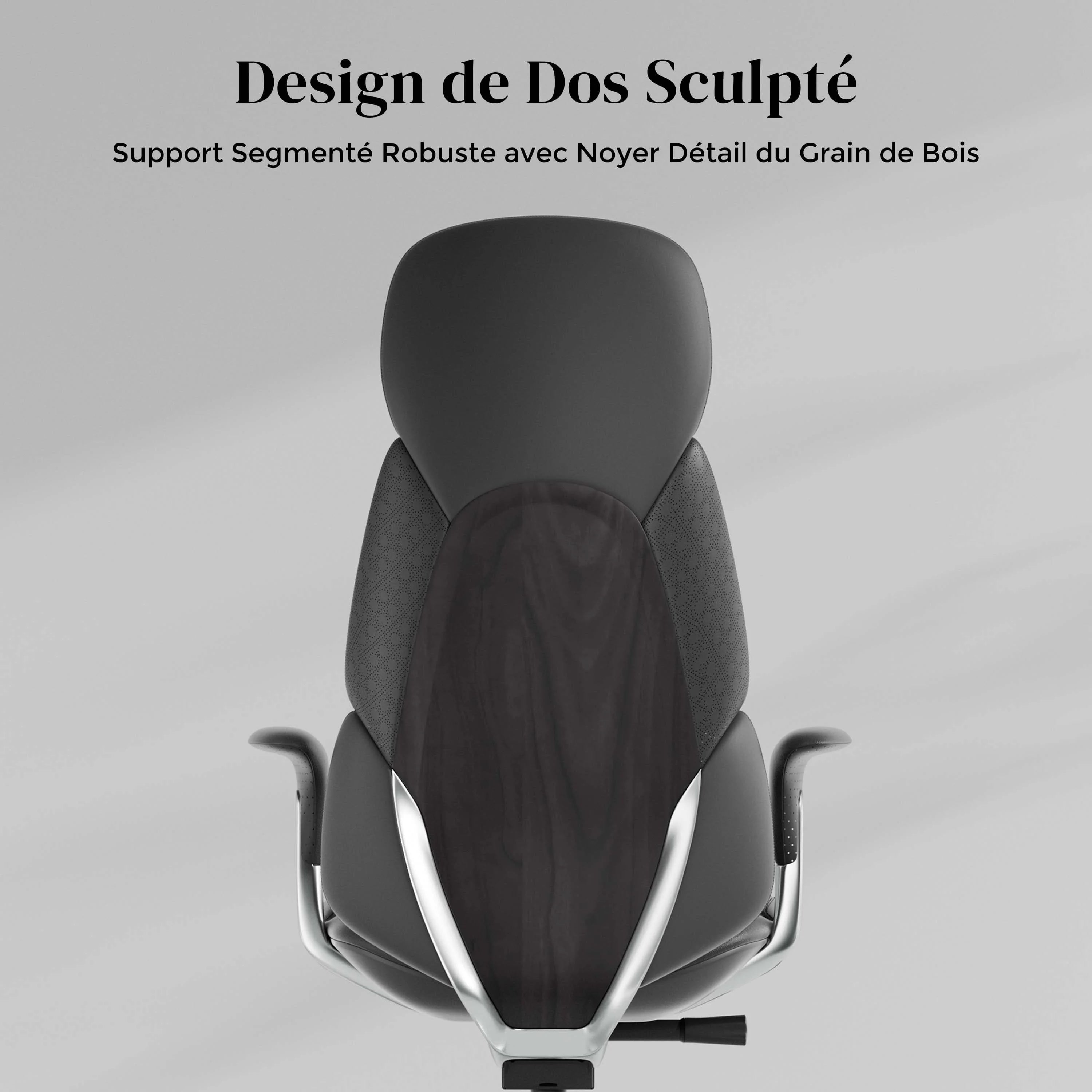 Nolan Chaise en Cuir avec Design Classique