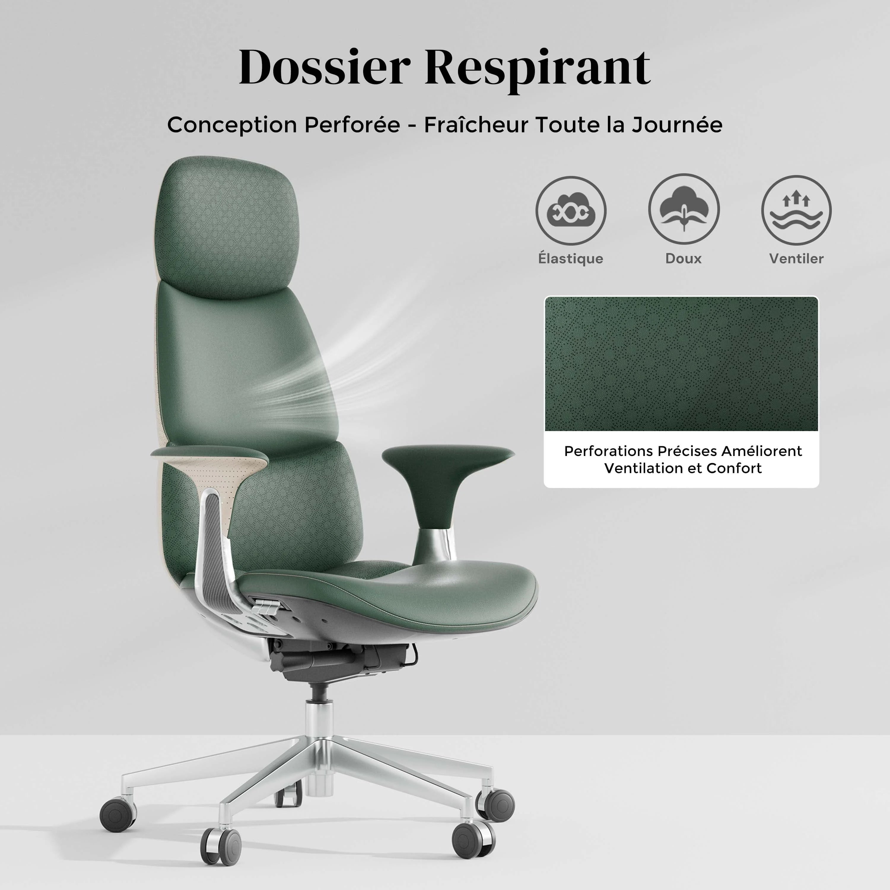 Nolan Chaise en Cuir avec Design Classique