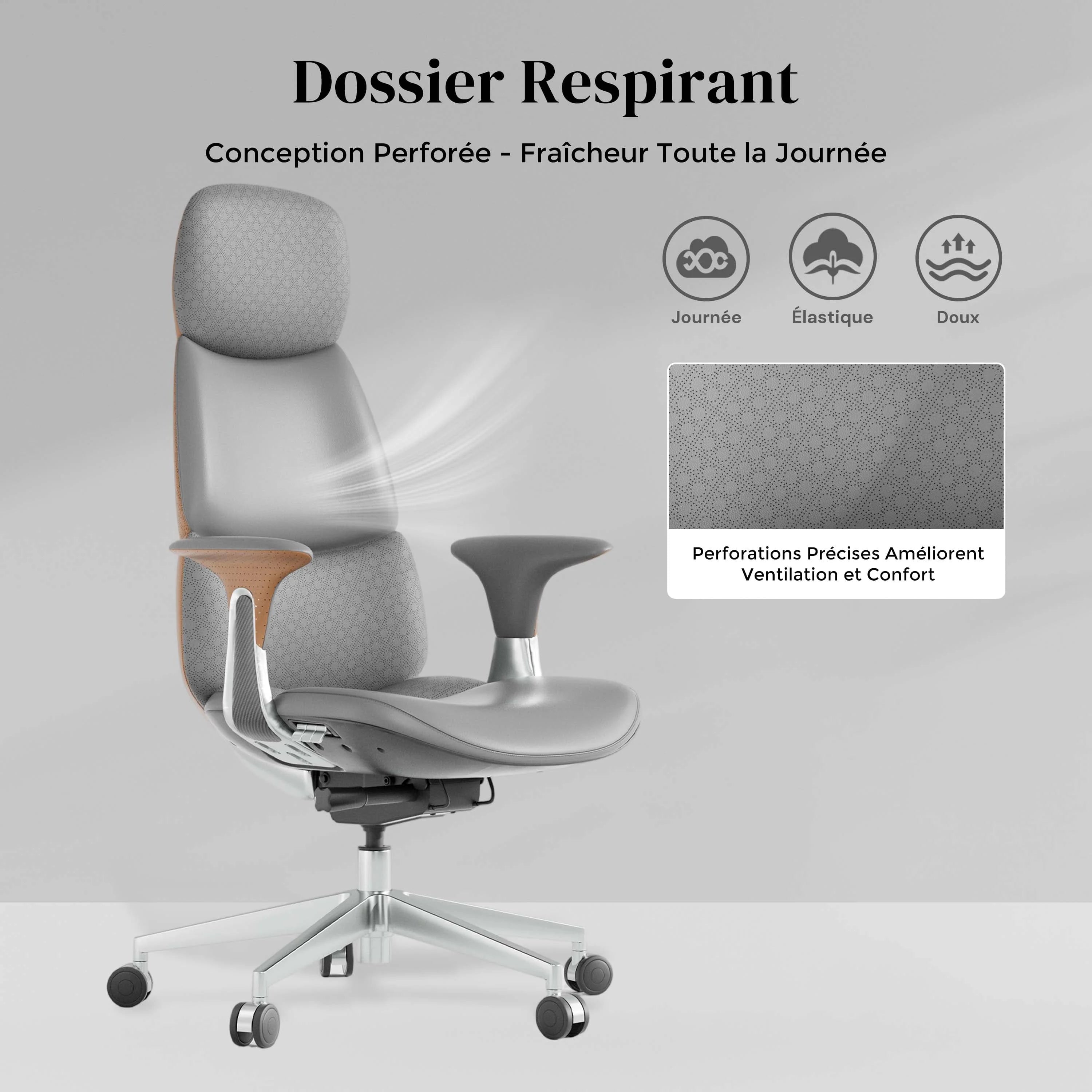 Nolan Chaise en Cuir avec Design Classique