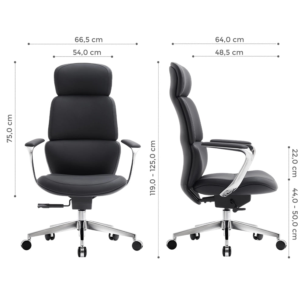 Nolan Chaise en Cuir avec Design Classique