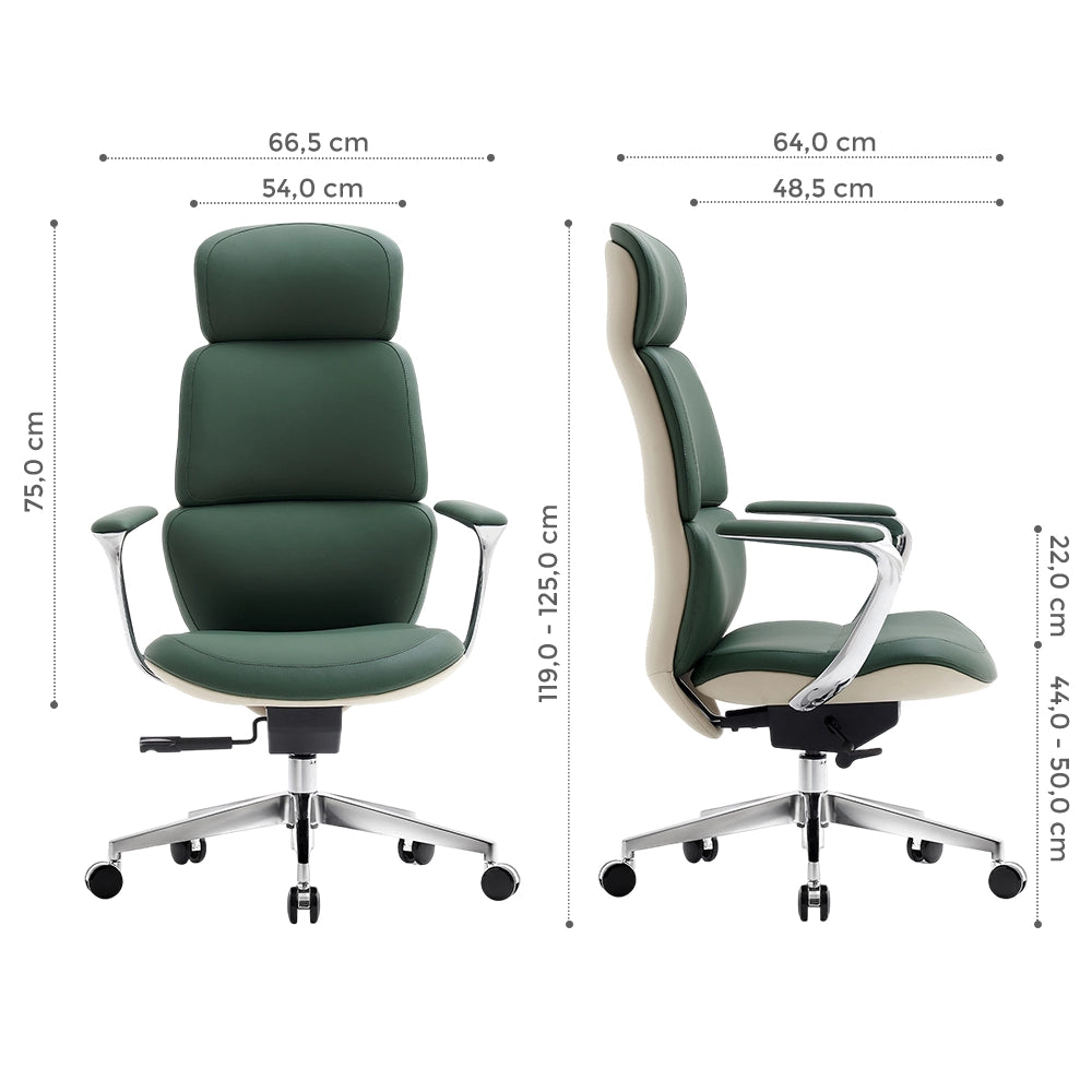 Nolan Chaise en Cuir avec Design Classique