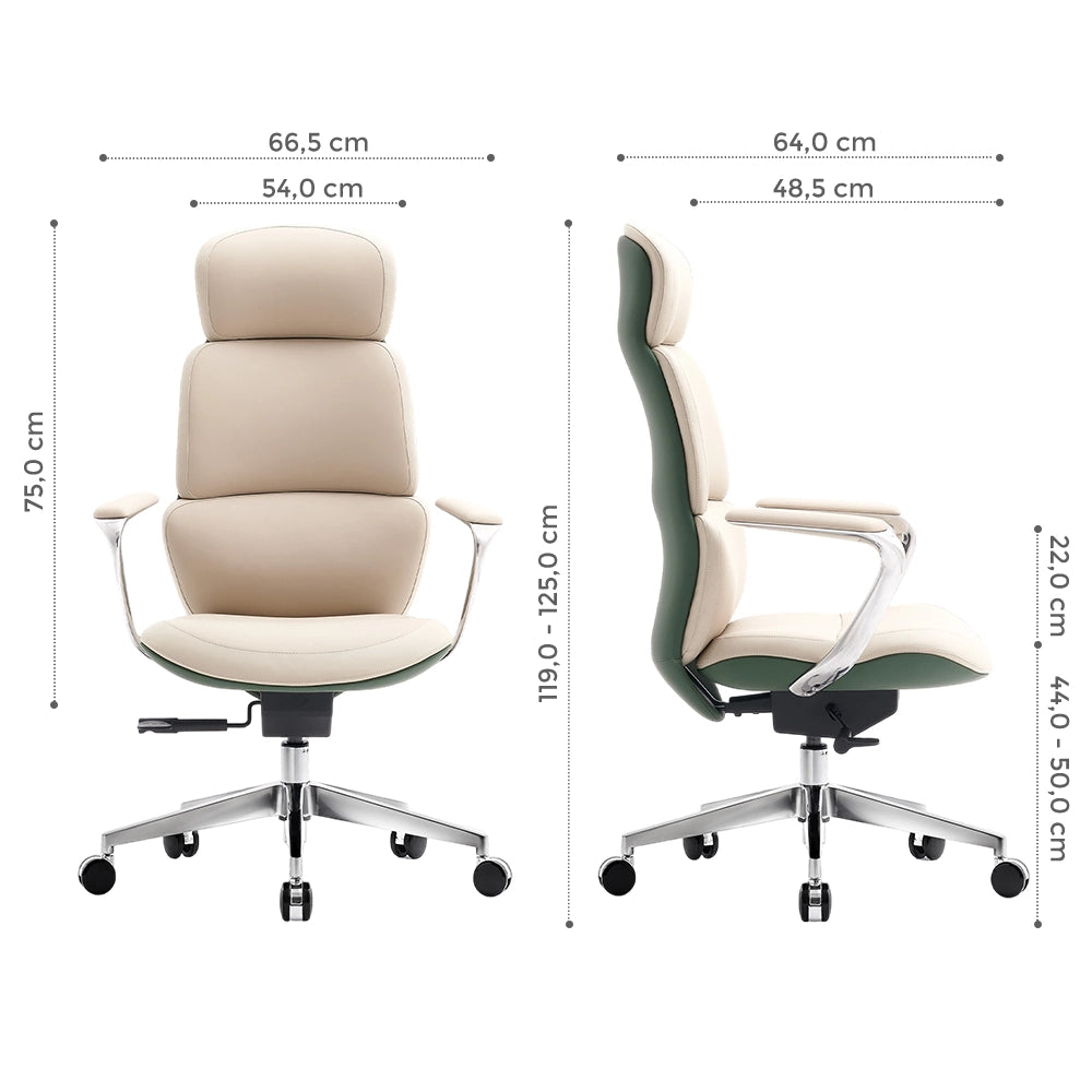 Nolan Chaise en Cuir avec Design Classique