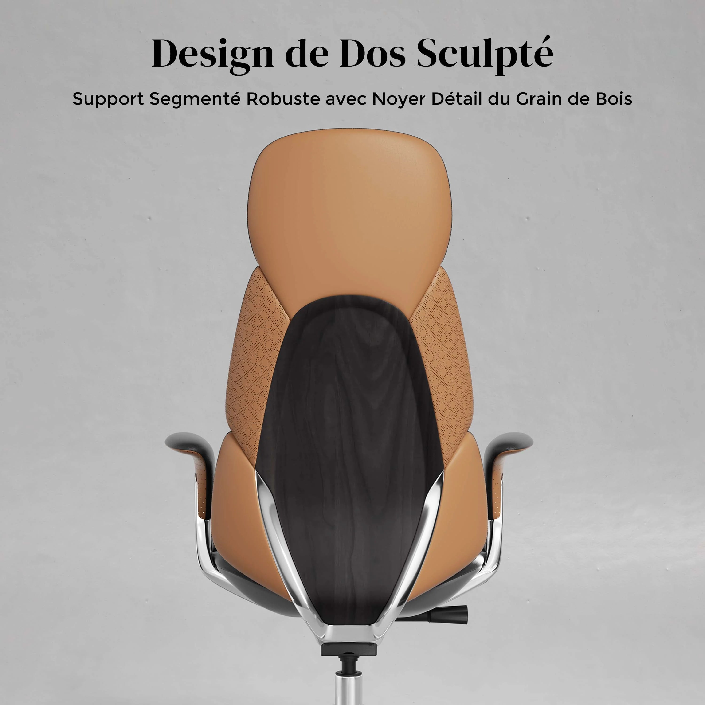 Nolan Chaise en Cuir avec Design Classique