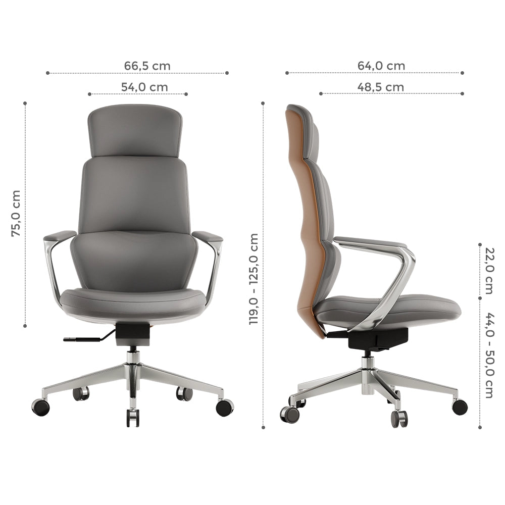 Nolan Chaise en Cuir avec Design Classique