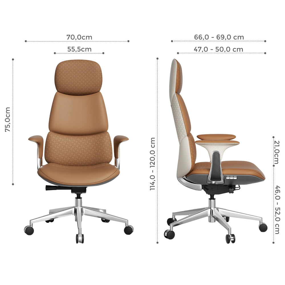 Nolan Chaise en Cuir avec Design Classique